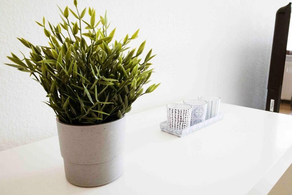 Moderne In Leipziger Altbau - Netflix Inklusive Apartment Leipzig
